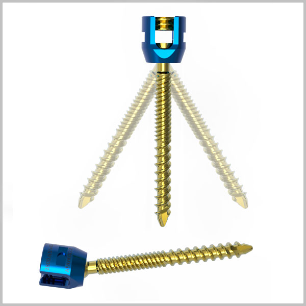 Titanium Dual Thread Polyaxial Screw