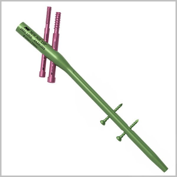 Proximal Femoral Nail (Short)